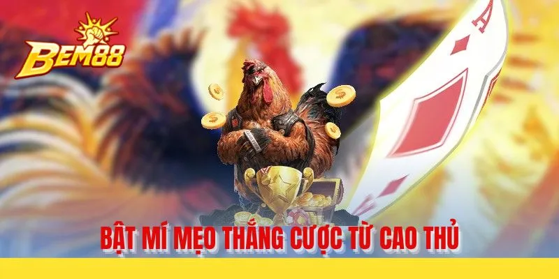 Bật mí mẹo thắng cược từ cao thủ