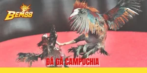 Đá gà campuchia