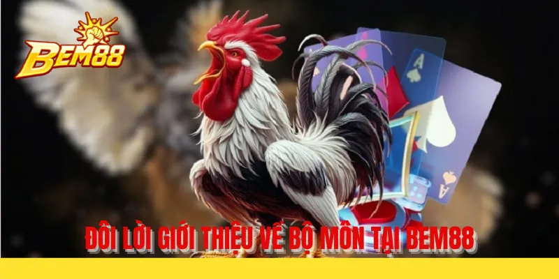 Đôi lời giới thiệu về bộ môn tại BEM88