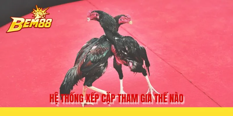 Hệ thống xếp cặp tham gia thế nào