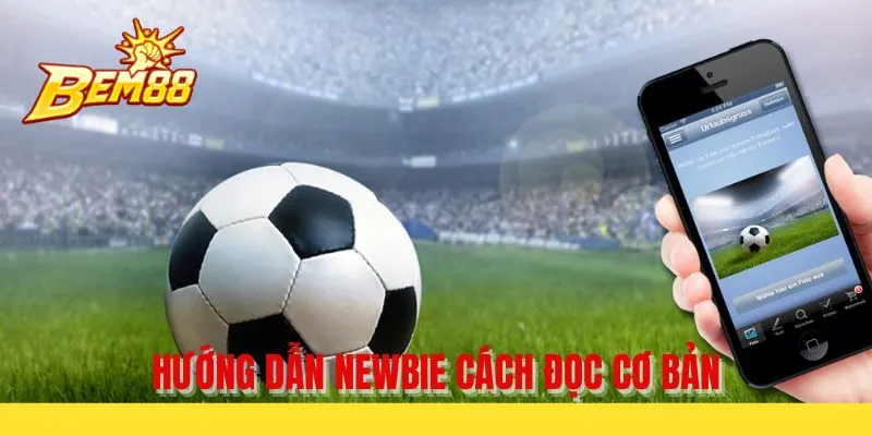 Hướng dẫn newbie cách đọc cơ bản