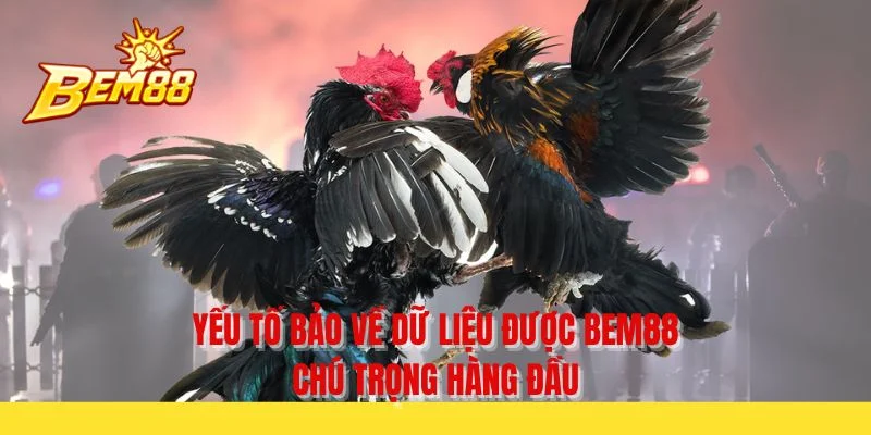 Yếu tố bảo vệ dữ liệu được BEM88 chú trọng hàng đầu